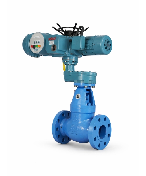 Electric Operated 2-Way Plug Valve