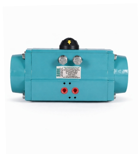 Pneumatic Actuator